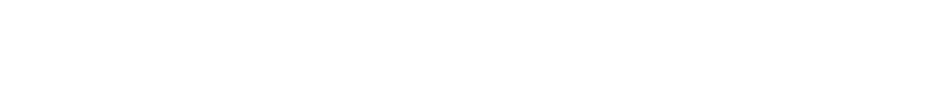 特徴